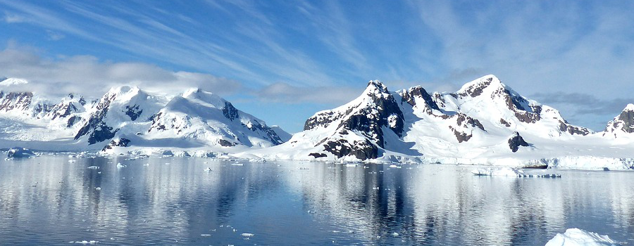 L'huile de krill - oméga 3 miraculeux de l'Antarctique